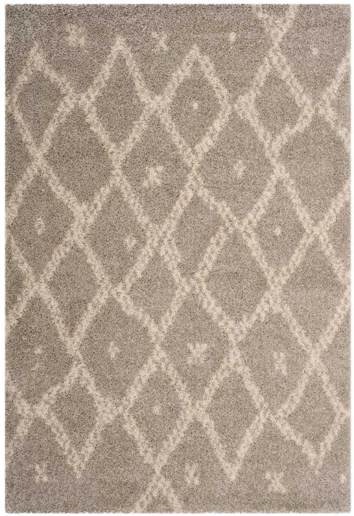 Arizona Shag Gray/Ivory Area Rug