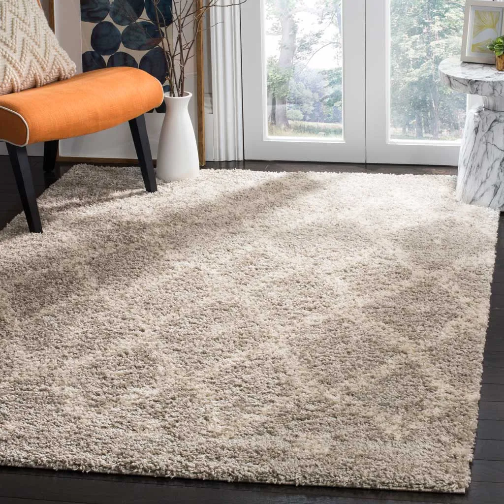 Arizona Shag Gray/Ivory Area Rug