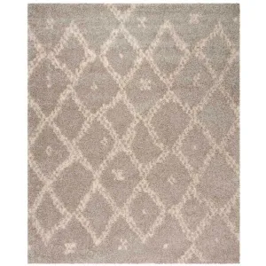 Arizona Shag Gray/Ivory Area Rug