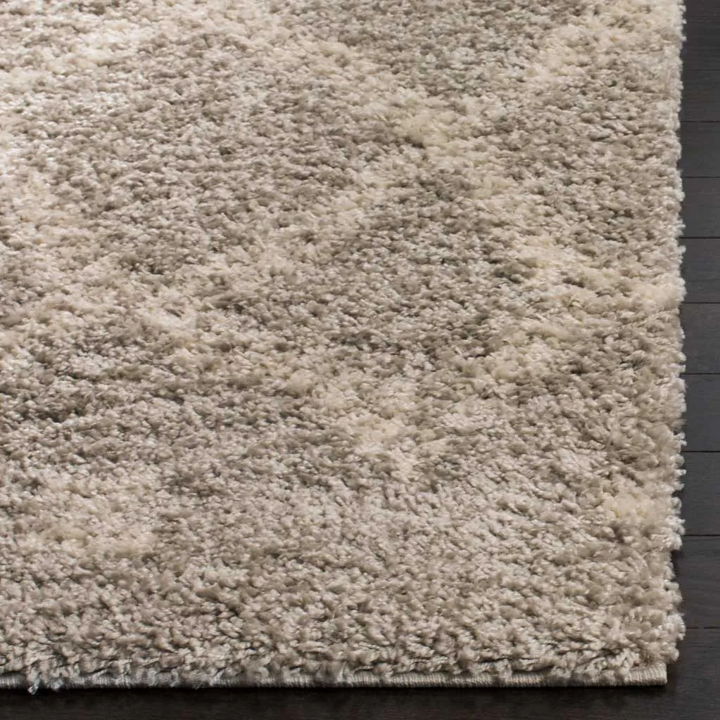 Arizona Shag Gray/Ivory Area Rug