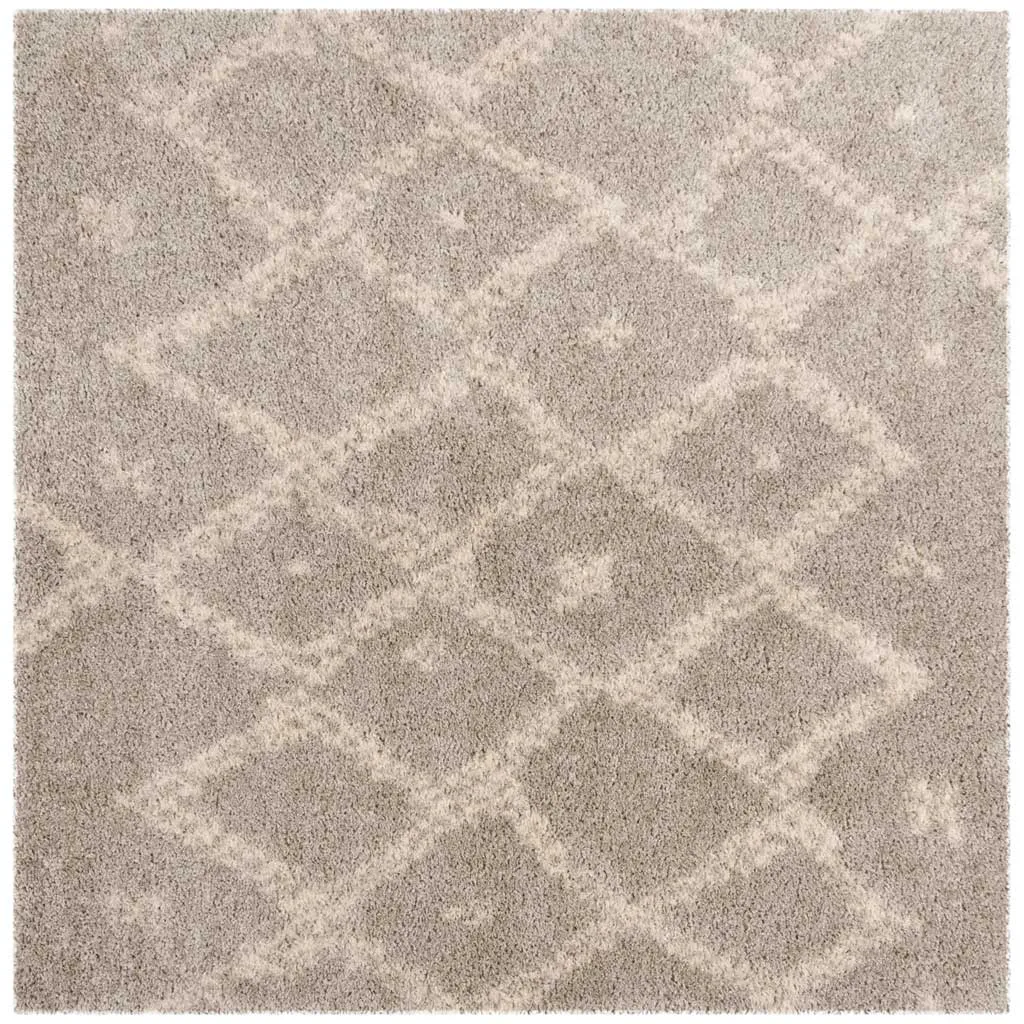 Arizona Shag Gray/Ivory Area Rug