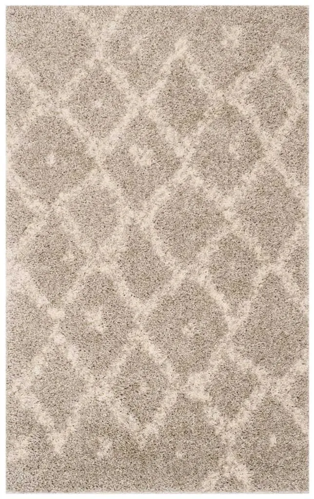 Arizona Shag Gray/Ivory Area Rug