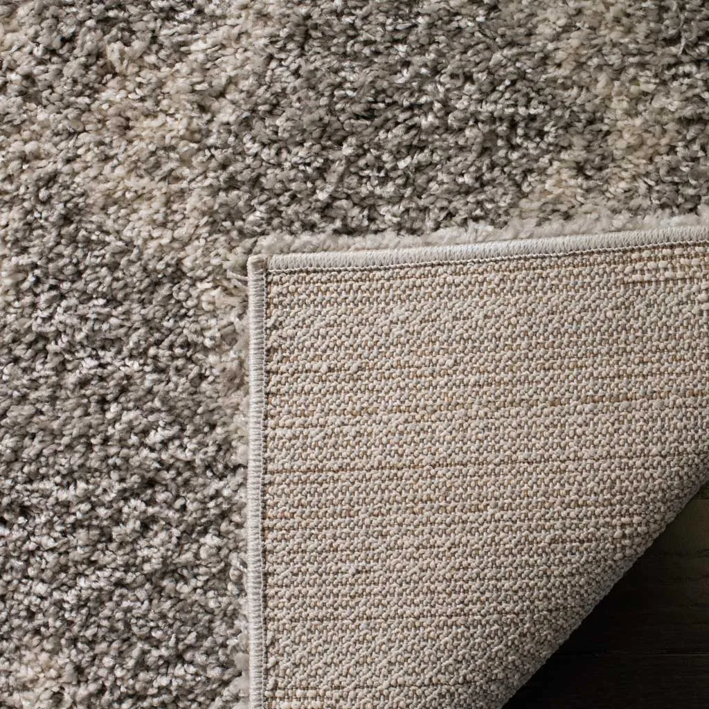 Arizona Shag Gray/Ivory Area Rug