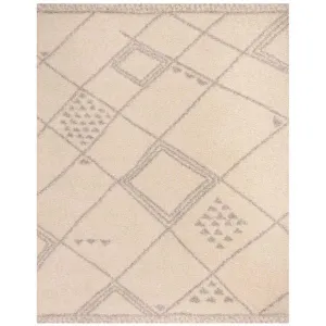 Arizona Shag Ivory/Gray Area Rug