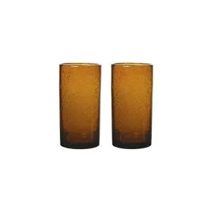 Oli Water Glass (Set of 2)