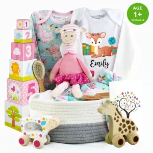 Zeronto Baby Girl Gift Basket - Little Scholar Girl